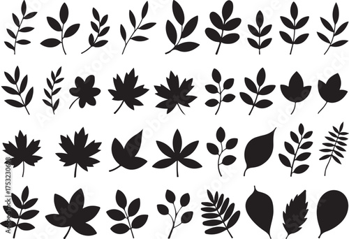 Autumn leaves silhouette set black design