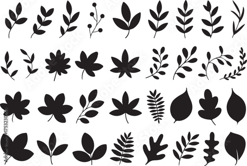 Autumn leaves silhouette set black design