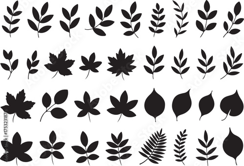 Autumn leaves silhouette set black design