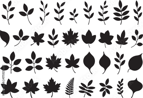 Autumn leaves silhouette set black design