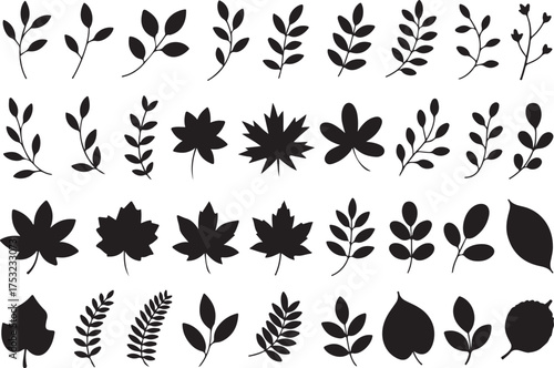 Autumn leaves silhouette set black design