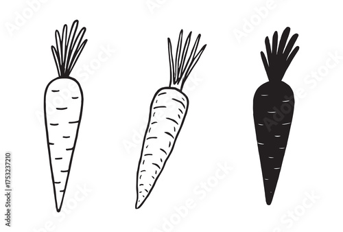 Three hand drawn carrots silhouette in solid outline art