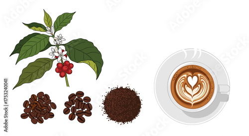 From coffee cherry to frothy latte a journey through the world of coffee.