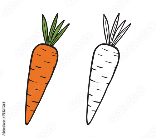 Two hand drawn carrots colored and outline silhouette set