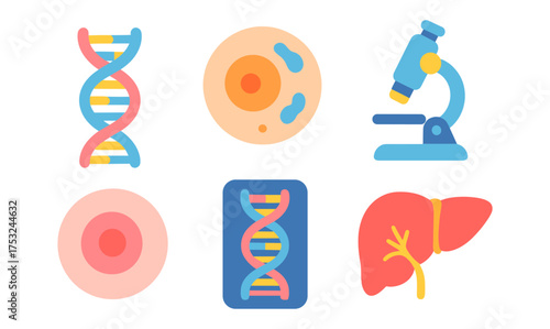 Colorful scientific icons: dna, cells, microscope, and liver in flat design