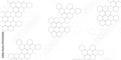 Abstract hexagon white background with shadow .white background Futuristic blue neon honeycombs. Modern technology design. Vector illustration.	
Category	
Graphic Resources	