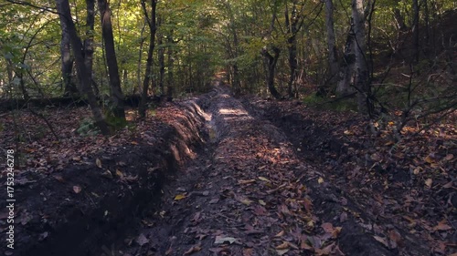 Low drone flight over a trail in the woods during autumn. Dilijan, Armenia. 