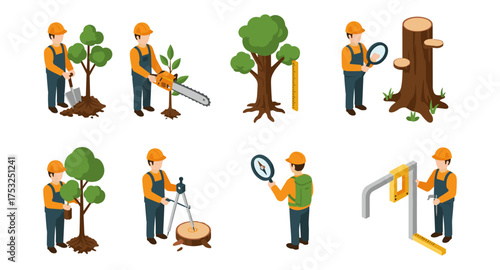 Isometric arborist activities: tree planting, pruning, and analysis with tools