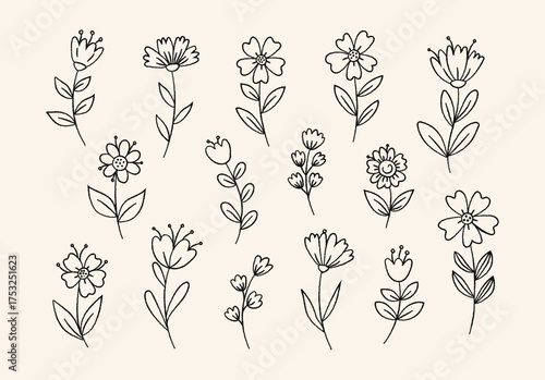 Various flower doodles, rendered in thin black line art, are displayed against beige