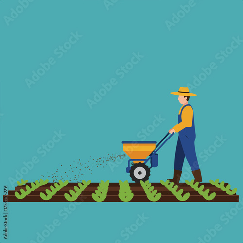 A farmer uses a spreader to fertilize crops in neat rows