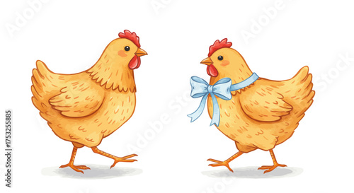 chicken and hen vector illustrator