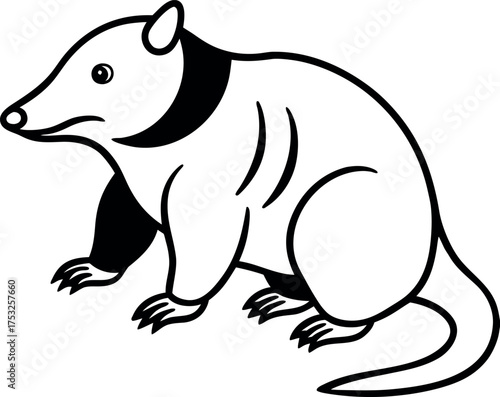 Simple line art illustration of a mole animal a small burrowing mammal isolated on white background