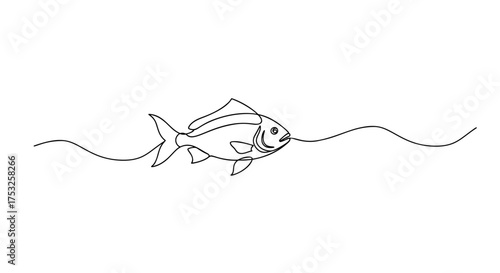 Continuous Line Fish Drawing Minimalist Aquatic Art Illustration
