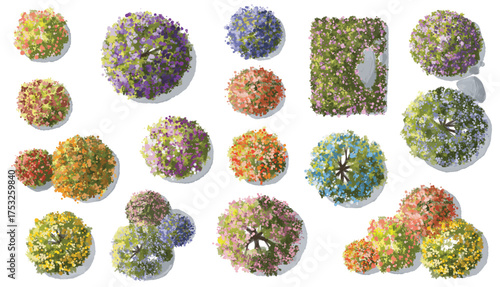 Vector watercolor of blooming tree top view isolated on white background for landscape plan and architecture drawing, elements for environment and garden,botanical elements ,blooming flower in spring