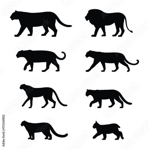 Photography Big Cats Silhouettes. Set of Wild Cats. Vector Illustration