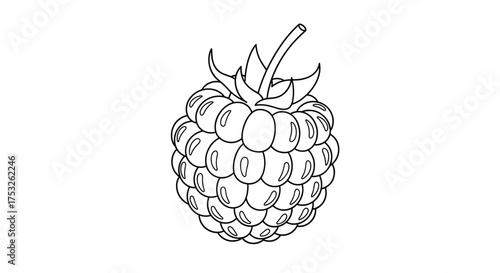 A simple black and white line drawing of a single ripe raspberry.