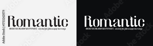 Elegant Font Uppercase Lowercase and Number. Classic Lettering Minimal Fashion Designs. Typography modern serif fonts regular decorative vintage concept. vector illustration

