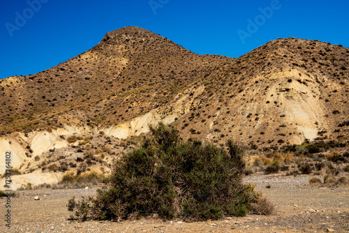 Berge in der Tabernas Wüste, Provinz Almería, Andalusien, Spanien