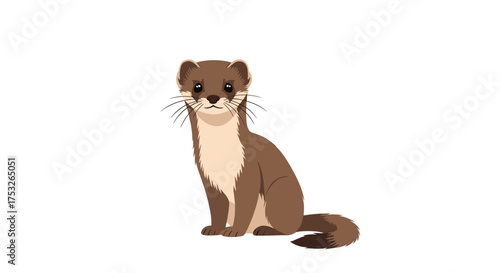 A small stoat with brown fur sits attentively on a white background.