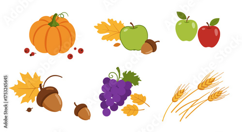 Autumn harvest collection with pumpkin, apples, grapes, acorns, and wheat in…