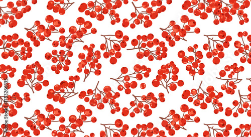 Seamless pattern of red berry branches on white background