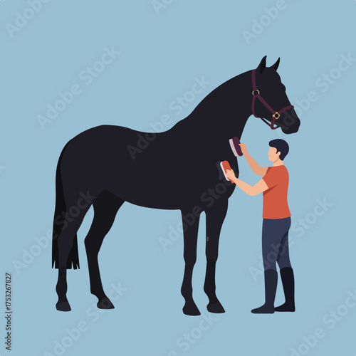 Person grooms a dark horse with brushes on a soft blue background