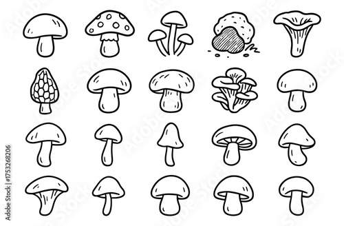 Hand-drawn mushrooms: variety of fun fungi in black and white doodles