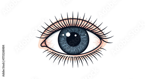 Detailed blue eye close-up with realistic eyelashes and iris on white background