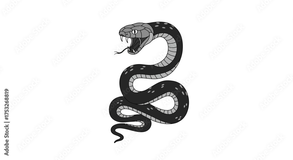 Obraz premium Monochrome snake with open mouth and fangs on white background