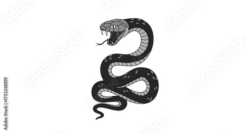 Monochrome snake with open mouth and fangs on white background