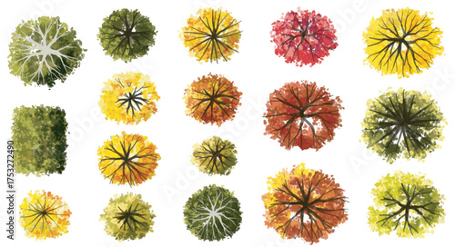 Vertor set of autumn tree,plants top view for landscape plan,schematic layout,eco environment concept design,watercolor ginkgo tree illustration,colorfulseason