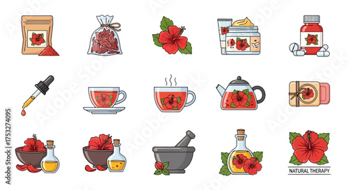 Collection of illustrations depicting hibiscus flower and its uses in tea, oil, powder, and cosmetics.