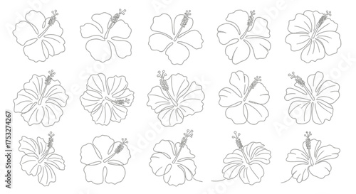A collection of fifteen delicate, hand-drawn line art illustrations of hibiscus flowers, showcasing various petal shapes and orientations.