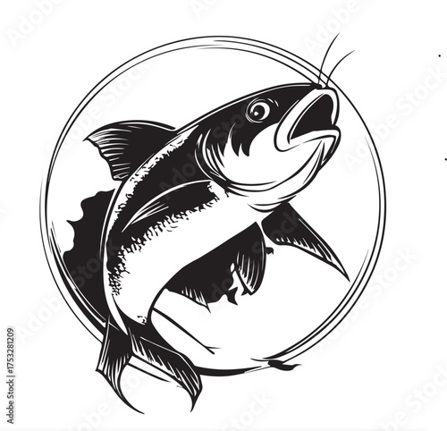 vector illustration of a catfish