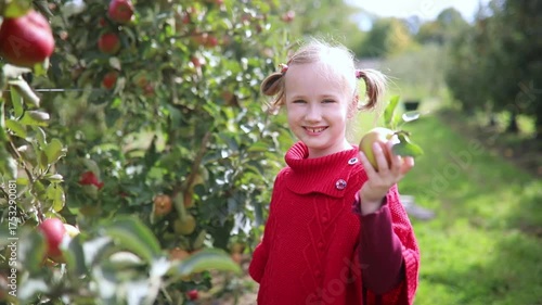 smiling girl harvesting apples on a farm