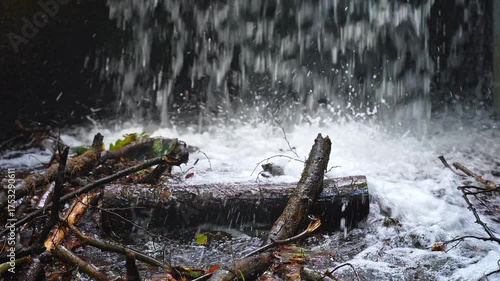 Water falls from the lake to the river. Branch in the foreground
