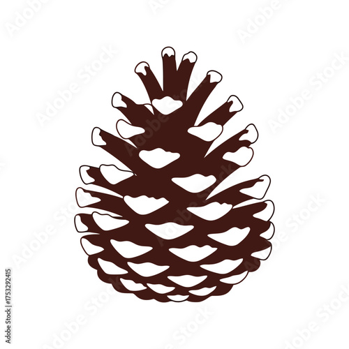 Brown pine cone isolated nature object autumn winter forest detail seed pod vector