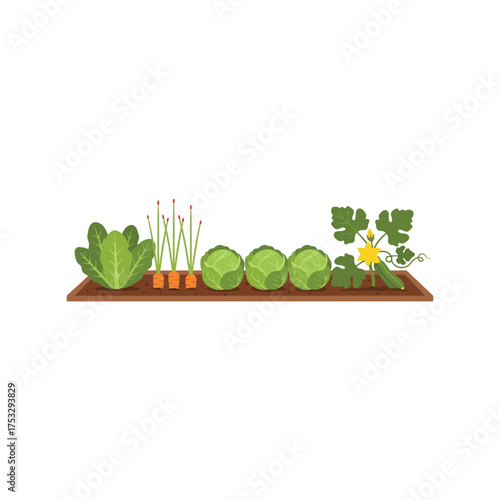 Cute frog and garden vegetables growing healthy in fertile soil with sprouts and flowers vector