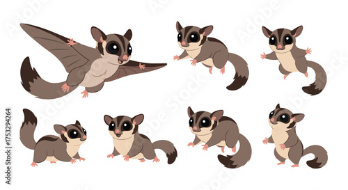 Cute sugar glider characters with different poses and actions.