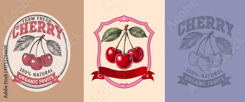 Cherry Collection: Artistic collection of cherry illustrations, showcasing the vibrant appeal of farm-fresh organic fruits. Capturing the essence of healthy and natural produce.