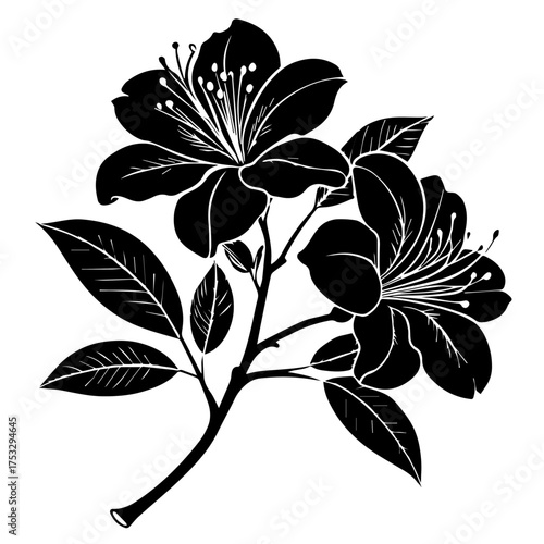 Elegant floral line art for sophisticated designs, invitations, and branding projects with nature themes