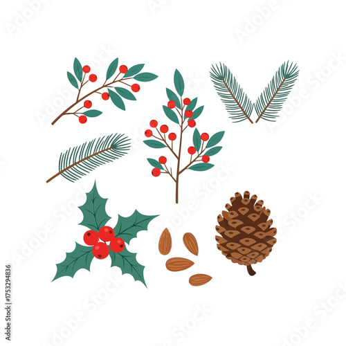 Set of hand drawn christmas botanical elements holly berries pine needles pinecone isolated vector