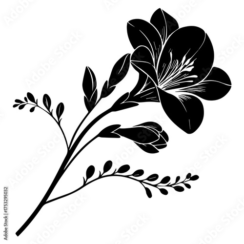 Elegant freesia flower illustration for sophisticated designs, invitations, and creative projects