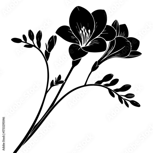 Elegant freesia floral line art illustration for sophisticated designs and invitations design projects