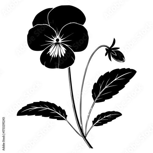 Elegant pansy blossom artwork with detailed leaves and stem, perfect for delicate designs