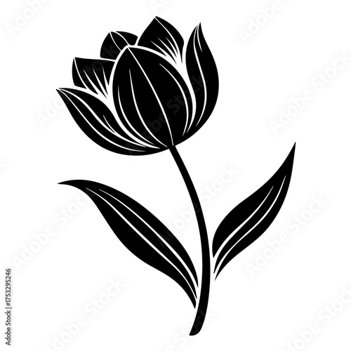 Elegant tulip flower artwork for branding and design projects, adding a touch of nature, beauty, and sophistication