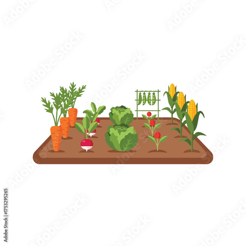 Organic vegetable garden fresh produce healthy food growth plant cultivation natural farming vector