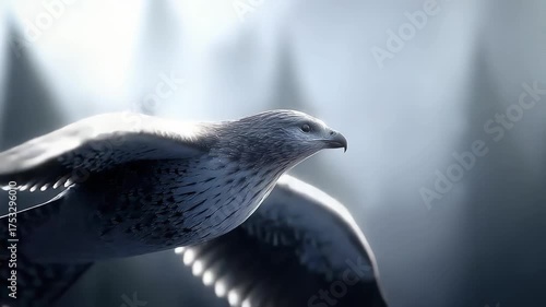 A magnificent eagle soaring in the sky