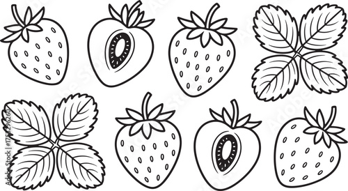 Black and White Illustrations of Strawberries and Leaves strawberry fruit