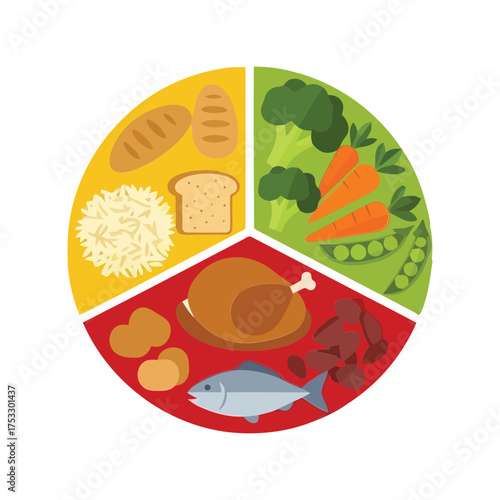 Healthy eating plate divided into food groups for balanced nutrition and diet planning vector